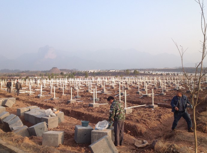 2019 200 MW Agro-Solar Complementary Project in Quzhou, Zhejiang 2019 200 MW Agro-Solar Complementary Project in Quzhou, Zhejiang